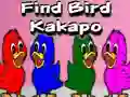 Find Bird Kakapo — δωρεάν online παιχνίδι