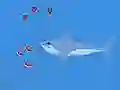 Oceans Shees — δωρεάν online παιχνίδι