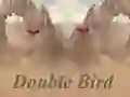 Double Bird — δωρεάν online παιχνίδι