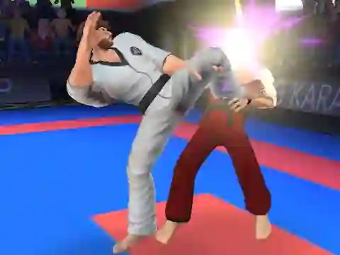 Karate Fighter — δωρεάν online παιχνίδι