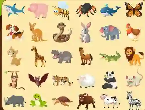 Discover Animals — δωρεάν online παιχνίδι