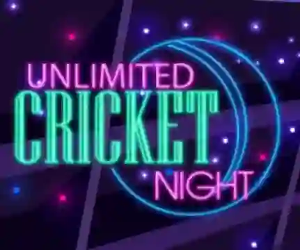 Unlimited Cricket Night — δωρεάν online παιχνίδι