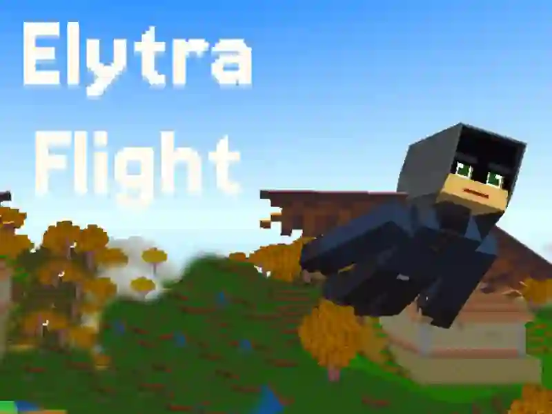 Elytra Flight — δωρεάν online παιχνίδι