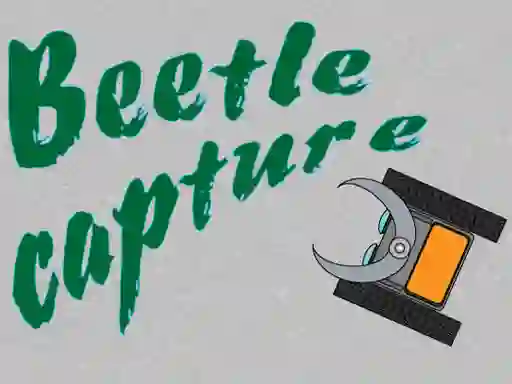 Beetle Capture — δωρεάν online παιχνίδι