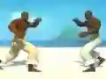 Capoeira fighter — δωρεάν online παιχνίδι