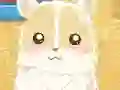Hamster Love — δωρεάν online παιχνίδι