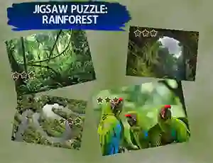 Jigsaw Puzzle Rain Forest — δωρεάν online παιχνίδι