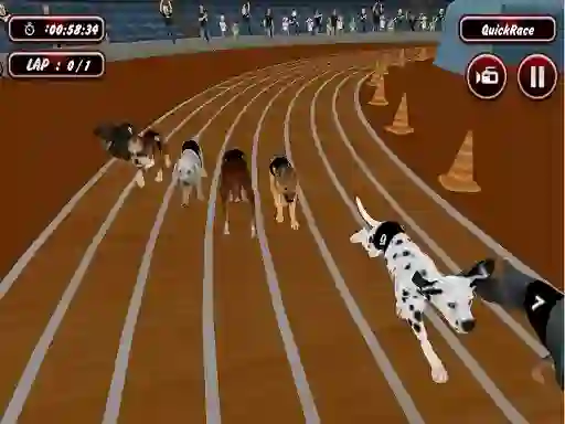 Crazyl Dog Racing Fever — δωρεάν online παιχνίδι