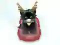 Pet Sledding — δωρεάν online παιχνίδι