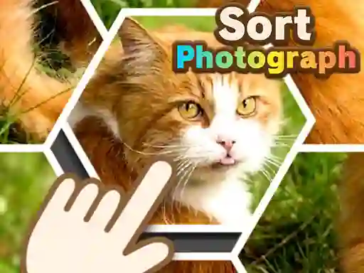 Sort Photograph — δωρεάν online παιχνίδι