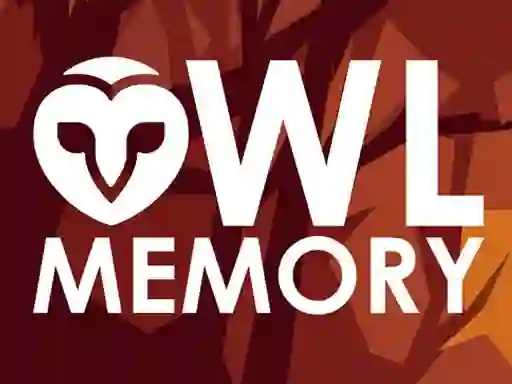 Owl Memory — δωρεάν online παιχνίδι