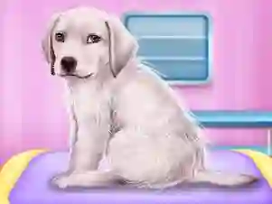 Labrador at the doctor salon — δωρεάν online παιχνίδι
