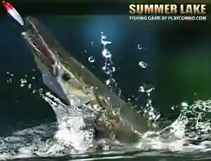 Summer Lake — δωρεάν online παιχνίδι