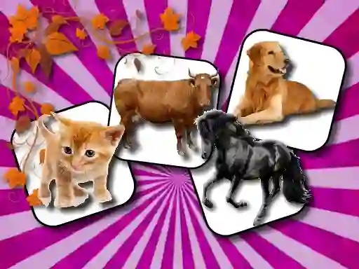 Domestic Animal Memory Challenge — δωρεάν online παιχνίδι