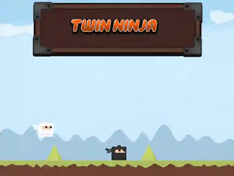 Twin Ninja — δωρεάν online παιχνίδι