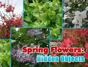 Spring Flowers: Hidden Objects — δωρεάν online παιχνίδι