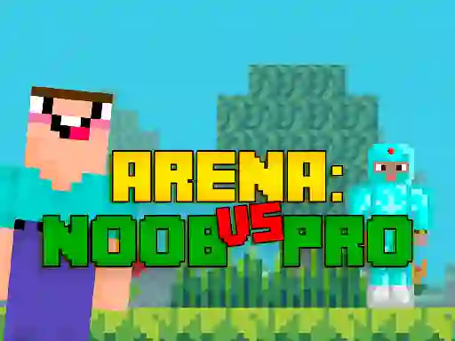 Arena: Noob vs Pro — δωρεάν online παιχνίδι