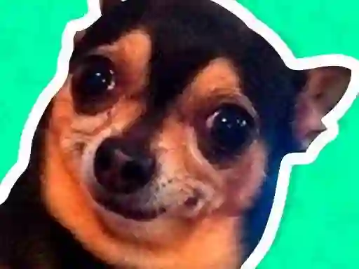 What meme dog are you ? — δωρεάν online παιχνίδι