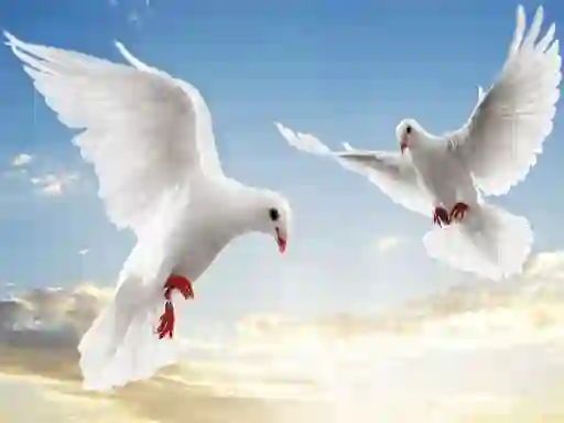 Flying Birds — δωρεάν online παιχνίδι