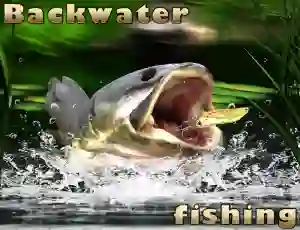 Backwater Fishing — δωρεάν online παιχνίδι
