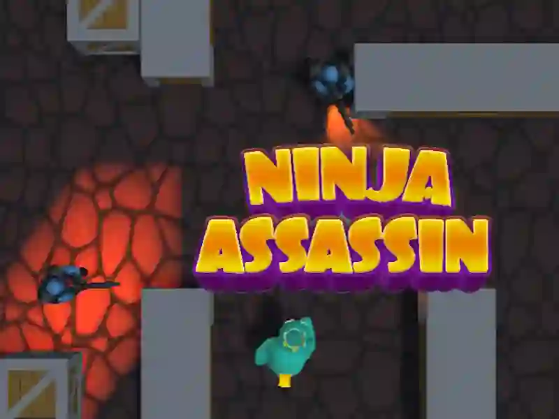 Ninja Assassin — δωρεάν online παιχνίδι