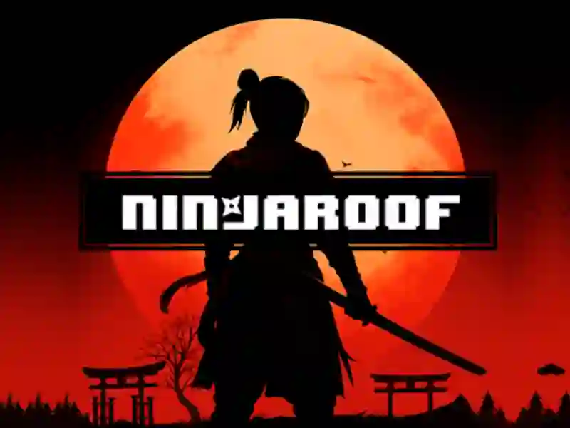 Ninja Roof — δωρεάν online παιχνίδι