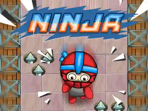 Ninja — δωρεάν online παιχνίδι