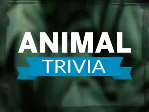 Animal Trivia — δωρεάν online παιχνίδι