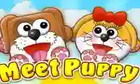 Meet Puppy — δωρεάν online παιχνίδι