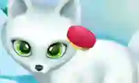 Paws to Beauty Arctic Edition — δωρεάν online παιχνίδι