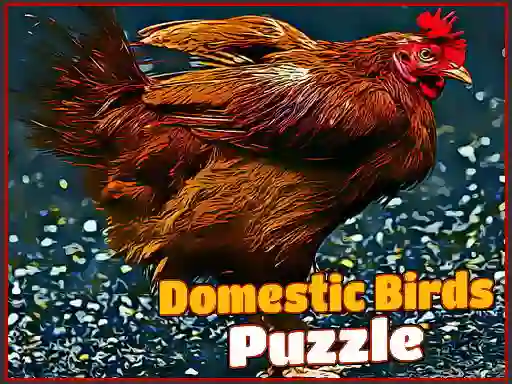 Domestic Birds Puzzle — δωρεάν online παιχνίδι