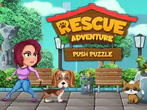 Rescue Adventure Push Puzzle — δωρεάν online παιχνίδι