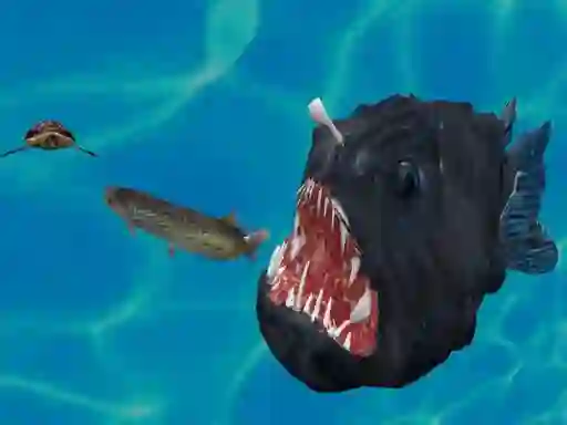 Fish 3d — δωρεάν online παιχνίδι