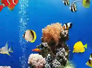 Sea Underwater Difference — δωρεάν online παιχνίδι