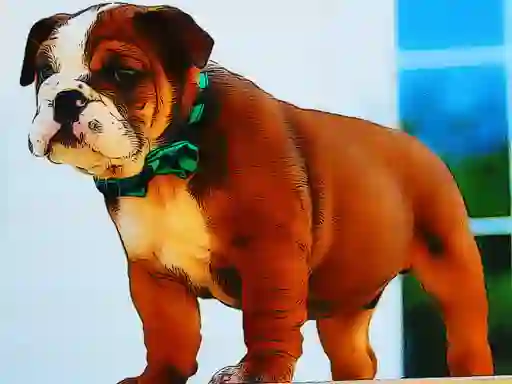 Bulldog Puppy Puzzle — δωρεάν online παιχνίδι