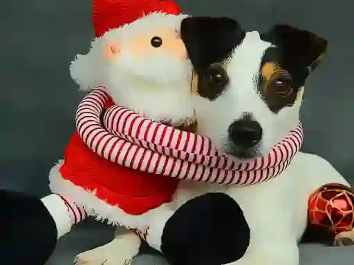 Funny Christmas Dogs — δωρεάν online παιχνίδι