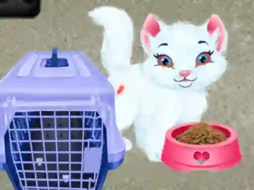 Baby Taylor Pet Care — δωρεάν online παιχνίδι