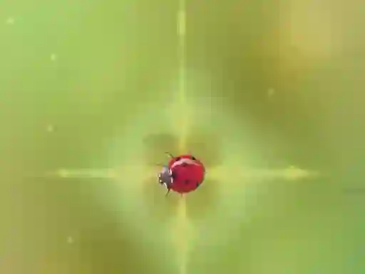 Pest Control — δωρεάν online παιχνίδι