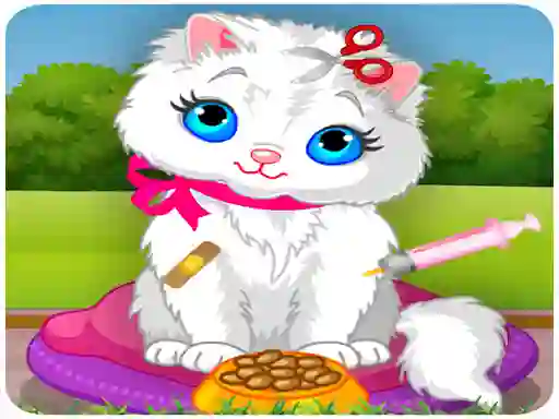 Vet Cat Clinic — δωρεάν online παιχνίδι