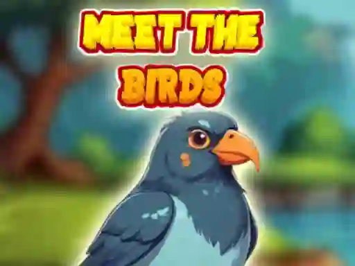 Meet The Birds — δωρεάν online παιχνίδι