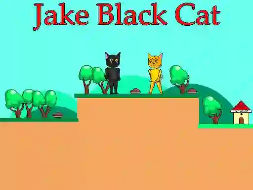 Jake Black Cat — δωρεάν online παιχνίδι