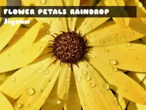 Flower Petals Raindrop Jigsaw — δωρεάν online παιχνίδι