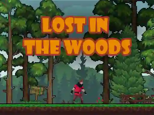 Lost in the Woods — δωρεάν online παιχνίδι