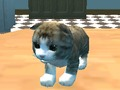 Παιχνίδι Προσομοιωτής γάτας: Kitty Craft!  σε απευθείας σύνδεση