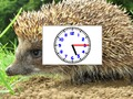 Παιχνίδι Puzzle Pics Ρολόγια  σε απευθείας σύνδεση