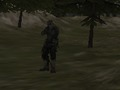 Παιχνίδι Οργανισμός FPS: Δάσος  σε απευθείας σύνδεση