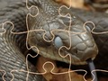 Παιχνίδι Mysterious Snakes: Puzzle  σε απευθείας σύνδεση