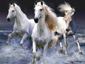 Παιχνίδι Άλογα σε απευθείας σύνδεση