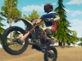Παιχνίδι Ποδήλατο ποδηλάτων με βρωμιά enduro σε απευθείας σύνδεση