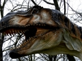 Παιχνίδι Παζλ T-Rex Dinosaur  σε απευθείας σύνδεση